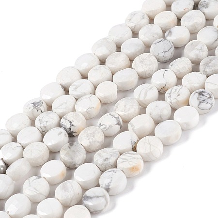 Natural Howlite Beads Strands G-D0003-A93-1