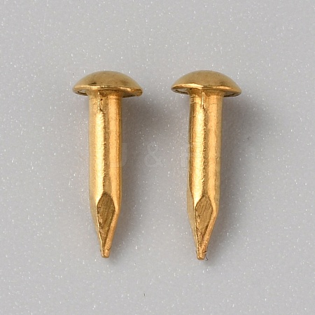 100Pcs Round End Brass Furniture Nail Tacks KK-WH0056-74-1