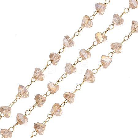 Glass & 304 Stainless Steel Beaded Chains SA-CBAD321-04B-1