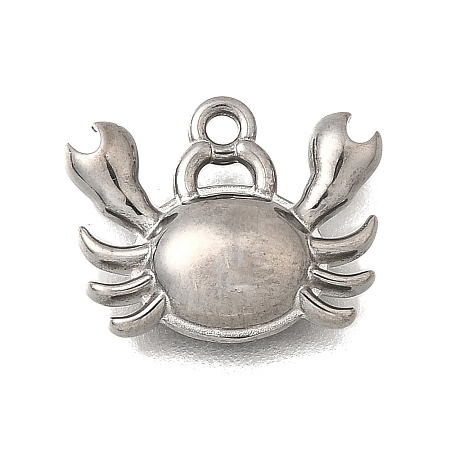 Ocean Series 304 Stainless Steel Charms STAS-H477-01B-P-1