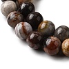 Natural Mexico Crazy Agate Beads Strands G-L615-A01-02-7