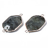 Natural Labradorite Links Connectors G-S359-280B-3