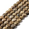 Natural Picture Jasper Beads Strands G-B022-14C-1