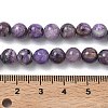 Natural Charoite Beads Strands G-C270-O02-04-5