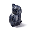 Natural Sodalite Display Decorations DJEW-P019-D04-3