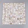 Natural Freshwater Shell Mosaic Tile Cabochons SHEL-Q029-05B-3
