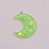 Transparent Resin Pendants RESI-WH0020-048B-1