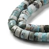 Natural Larimar Beads Strands G-Q024-B03-04-4