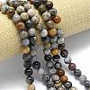 Natural Dendritic Opal Beads Strands G-R494-A23-03A-1