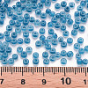 8/0 Transparent Glass Seed Beads SEED-S048-P-001-4