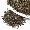 Electroplate Glass Seed Beads X-SEED-S042-01B-03-1