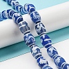 Blue Tibetan Style dZi Beads Strands TDZI-NH0001-C01-01-2