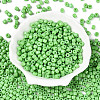 Opaque Baking Paint Glass Seed Beads SEED-T008-02Q-2