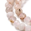 Natural Cherry Blossom Agate Beads Strands G-K380-A43-01-4