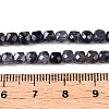 Natural Iolite Beads Strands G-N342-112A-5