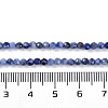Natural Sodalite Beads Strands LS-G-G139-A07-02-5