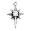 316 Surgical Stainless Steel Micro Pave Cubic Zirconia Pendants X-STAS-G349-01AS-02-1