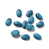 Synthetic Turquoise Cabochons G-F605E-16A-1