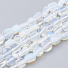 Opalite Beads Strands G-S339-24-1