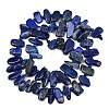 Natural Lapis Lazuli Beads Strands G-L657-E01-01-3