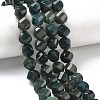 Natural Moss Agate Beads Strands G-C267-B23-1