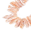 Natural Baroque Keshi Pearl Beads Strands PEAR-S020-H13B-4