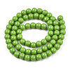 Opaque Solid Color Glass Beads Strands GLAA-T032-P6mm-06-3