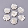 Natural White Shell Mother of Pearl Shell Cabochons SSHEL-L013-10-1