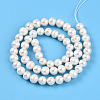 Natural Cultured Freshwater Pearl Beads Strands PEAR-N013-07Q-3