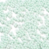 Baking Paint Glass Seed Beads X1-SEED-A033-05R-3