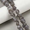 Natural Grey Agate Beads Strands G-L630-F01-01J-1