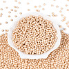 Baking Paint Pearlized Glass Seed Beads SEED-T007-21A-02-1