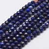 Natural Lapis Lazuli Beads Strands G-G736-22-4mm-1