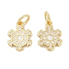 Brass Enamel Charms KK-Q028-04G-1