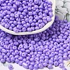 6/0 Opaque Baking Paint Glass Seed Beads X1-SEED-M012-02A-09-1