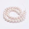 Wrinkle Textured Shell Pearl Beads Strands BSHE-E016-6mm-07-2