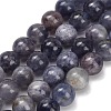 Natural Iolite Beads Strands X-G-G300-A04-8mm-2