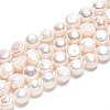 Natural Cultured Freshwater Pearl Beads Strands PEAR-N014-06D-01-4