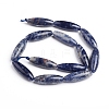 Natural Sodalite Beads Strands G-E560-I01-10x30mm-2