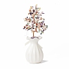 Natural Gemstone Chips with Brass Wrapped Wire Money Tree on Ceramic Vase Display Decorations DJEW-B007-01D-2