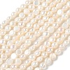 Natural Cultured Freshwater Pearl Beads Strands PEAR-C004-15-2