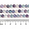 Natural Fluorite Beads Strands G-K345-A02-01A-5