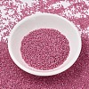 MIYUKI Delica Beads SEED-X0054-DB1742-2