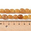 Dyed Natural Malaysia Jade Beads Strands G-P528-I15-01-2