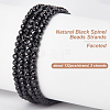 2 Strands Natural Black Spinel Beads Strands G-OC0005-44-4