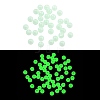 Opaque Luminous Acrylic Beads OACR-G038-06D-1