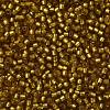 TOHO 11/0 Round Beads SEED-XTR11-0022CF-2