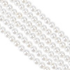 GOMAKERER 2 Strands Shell Pearl Beads Strands BSHE-GO0001-03-1