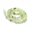 Natural Prehnite Beads Strands G-K230-20-2