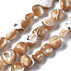 Natural Trochid Shell/Trochus Shell Beads Strands SSHEL-S266-015B-1